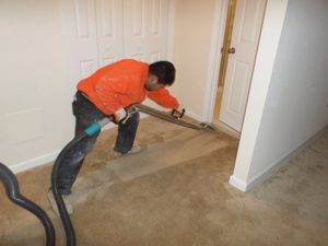 mold remediation specialist vacuuming